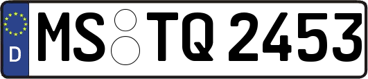 MS-TQ2453