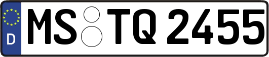 MS-TQ2455