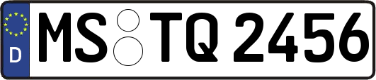 MS-TQ2456