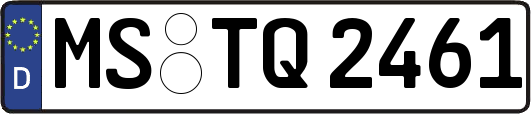 MS-TQ2461