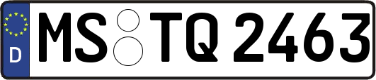 MS-TQ2463