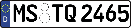 MS-TQ2465