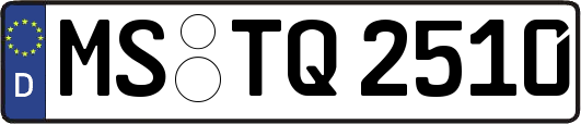 MS-TQ2510