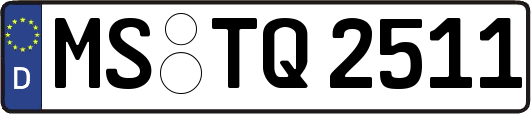 MS-TQ2511