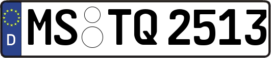 MS-TQ2513