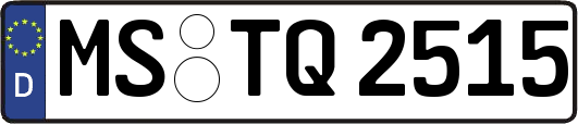 MS-TQ2515