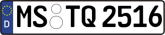 MS-TQ2516