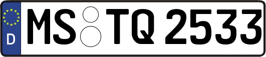 MS-TQ2533