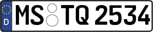 MS-TQ2534