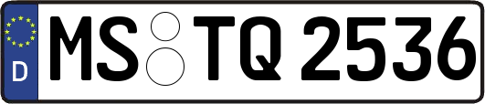 MS-TQ2536
