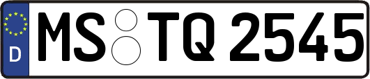 MS-TQ2545