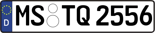 MS-TQ2556