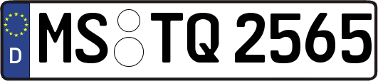 MS-TQ2565