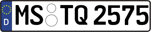 MS-TQ2575