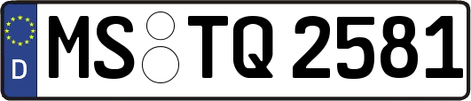 MS-TQ2581