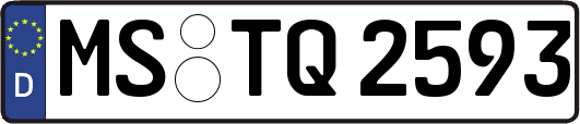 MS-TQ2593