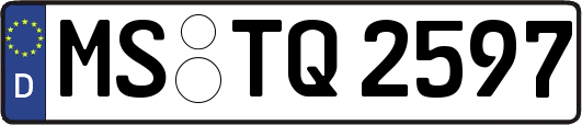 MS-TQ2597