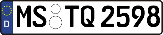 MS-TQ2598