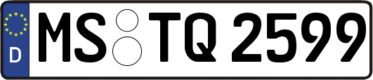 MS-TQ2599