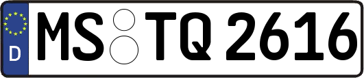 MS-TQ2616