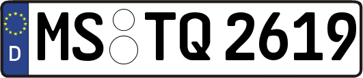 MS-TQ2619
