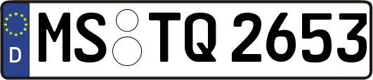 MS-TQ2653
