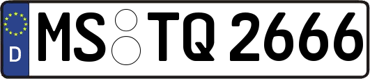 MS-TQ2666