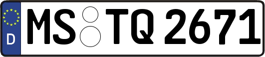 MS-TQ2671