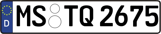 MS-TQ2675