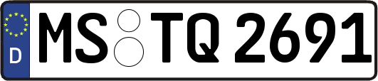 MS-TQ2691