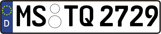 MS-TQ2729