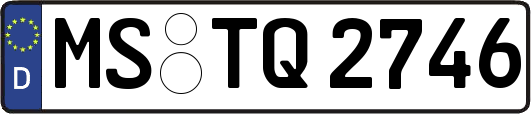 MS-TQ2746