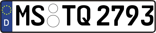 MS-TQ2793