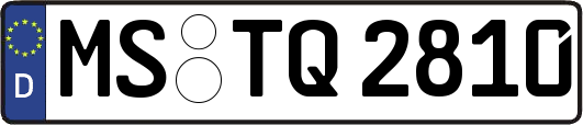 MS-TQ2810