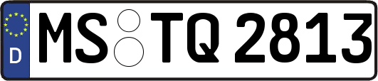 MS-TQ2813