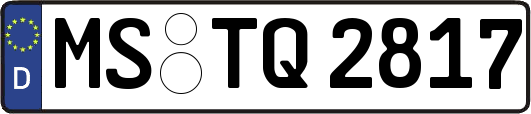 MS-TQ2817