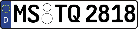 MS-TQ2818