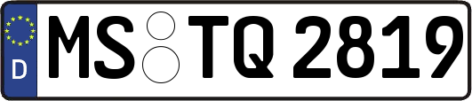 MS-TQ2819