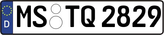 MS-TQ2829