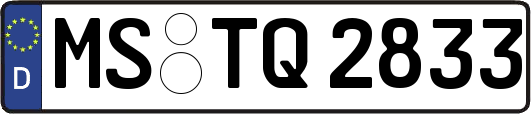 MS-TQ2833