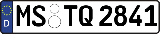 MS-TQ2841
