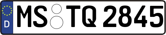 MS-TQ2845