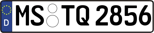 MS-TQ2856