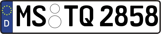 MS-TQ2858