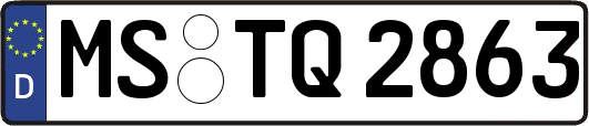 MS-TQ2863