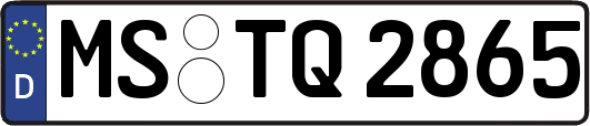 MS-TQ2865