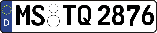 MS-TQ2876