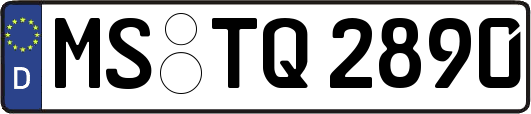 MS-TQ2890