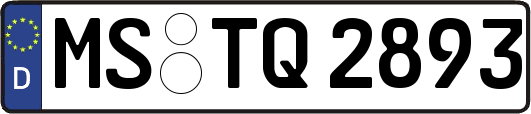 MS-TQ2893