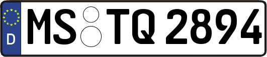 MS-TQ2894